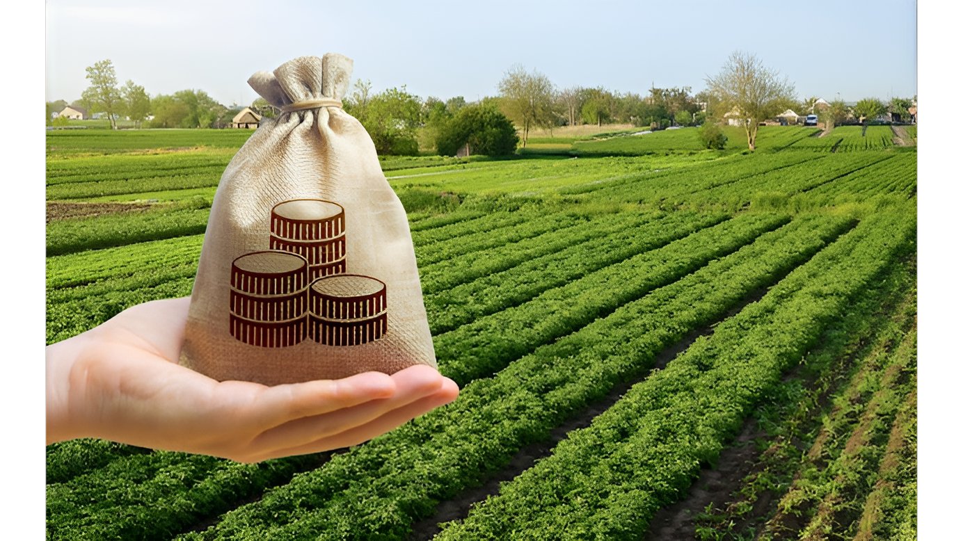 Money-bank-farm-field