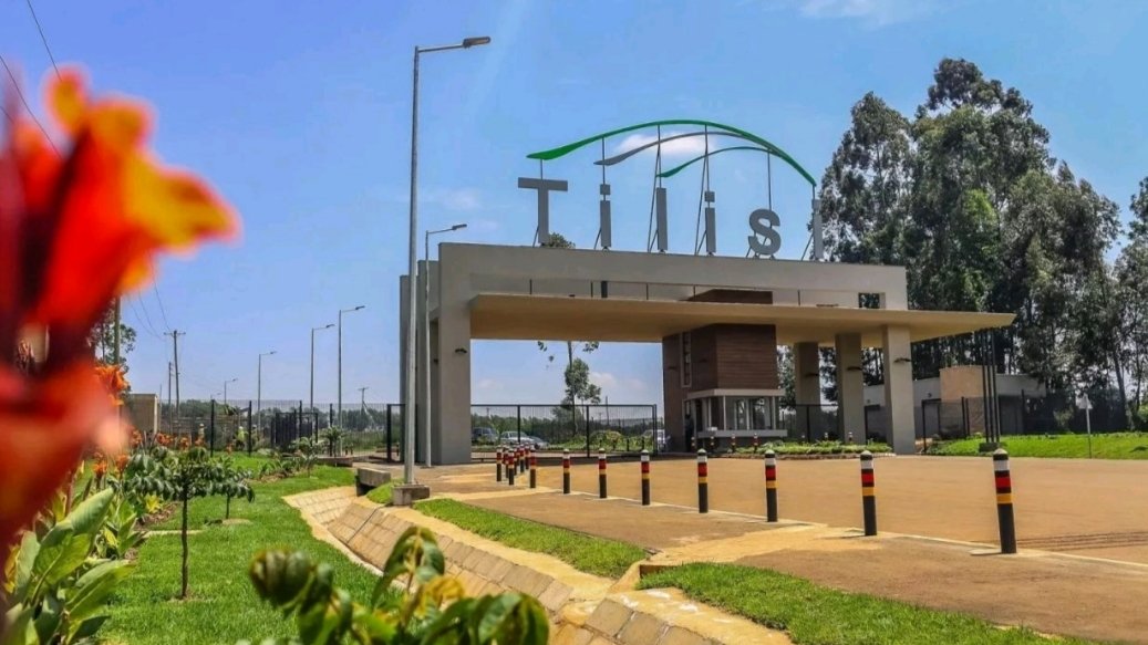 Main entrance to Tilisi mixed-use development showing the landscaped access road, security gate and Tilisi sign.