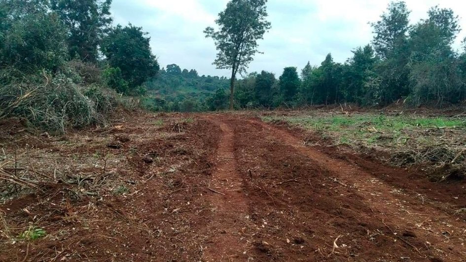Court Halts Road Project Linking Talanta Stadium to Bomas Through Ngong Road Forest