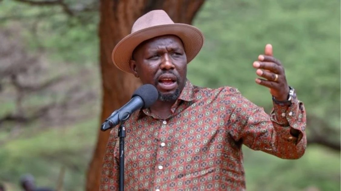 Why Government Stopped Construction of Mega Border Security Project