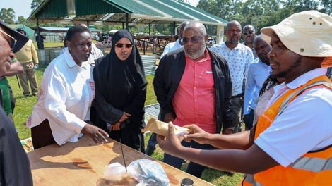 Senate Probes Controversial Kakamega Gold Mining Project Following Petition by Residents
