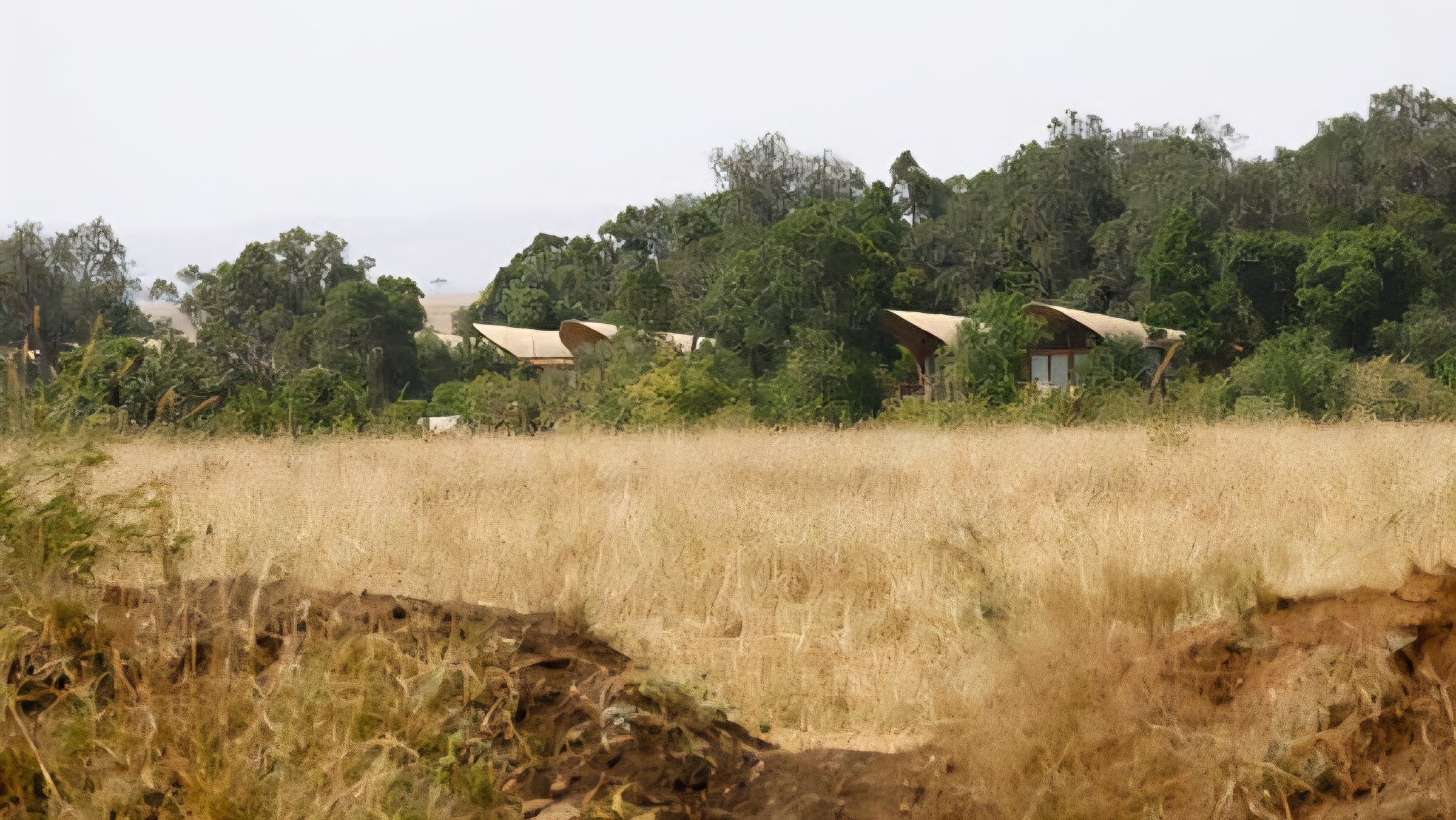 Ritz-Carlton Sand River Development Faces Scrutiny Over Wildlife Corridor Integrity