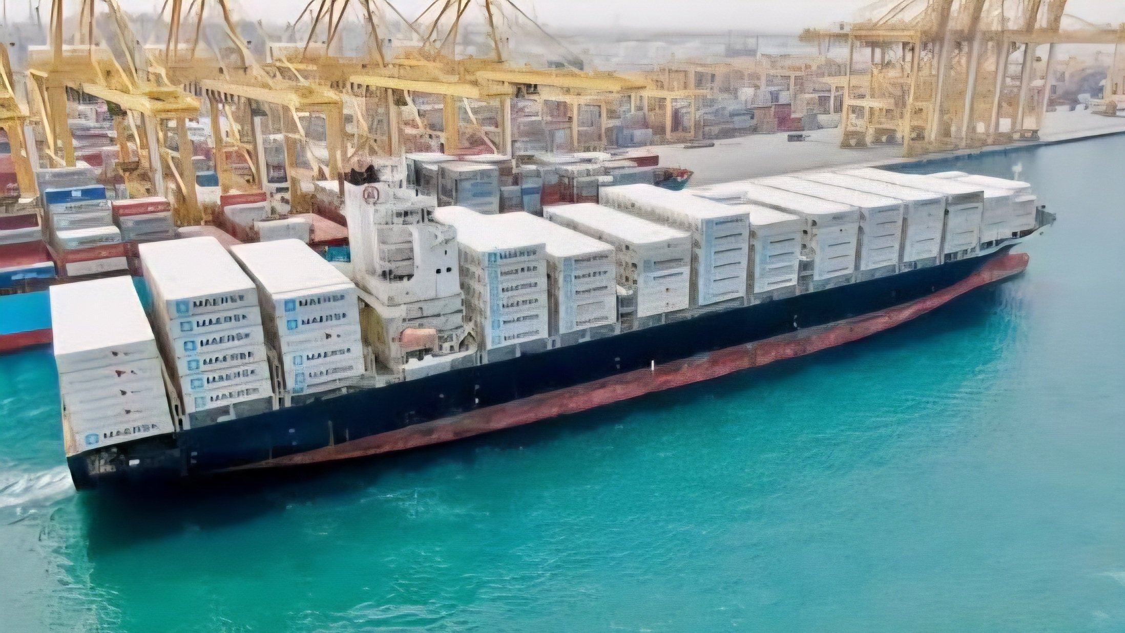 Maersk links Kenyan avocado boom to rising demand for cold storage logistics