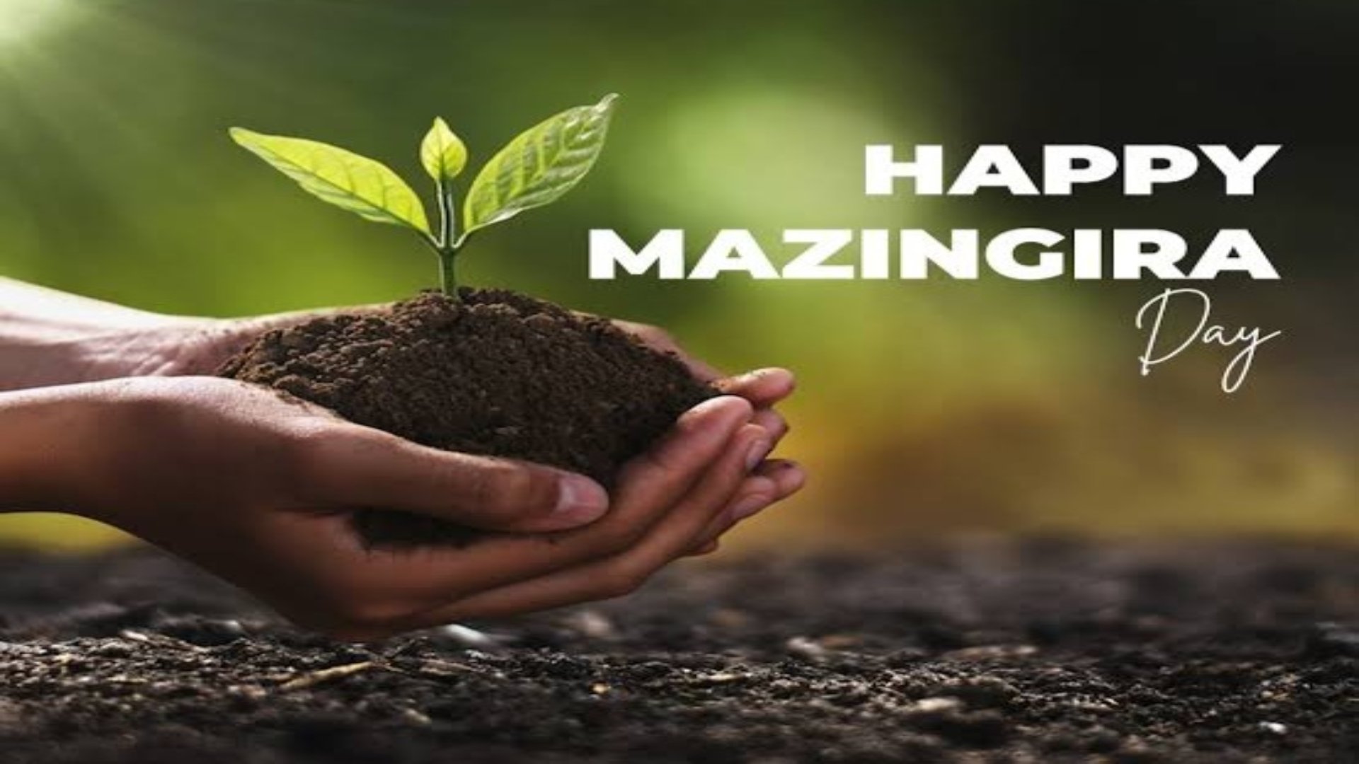 Happy mazingira day