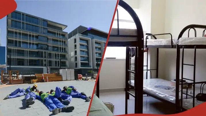 Dubai's new shared housing law puts Kenyan tenants on notice, fines up to KSh 35m