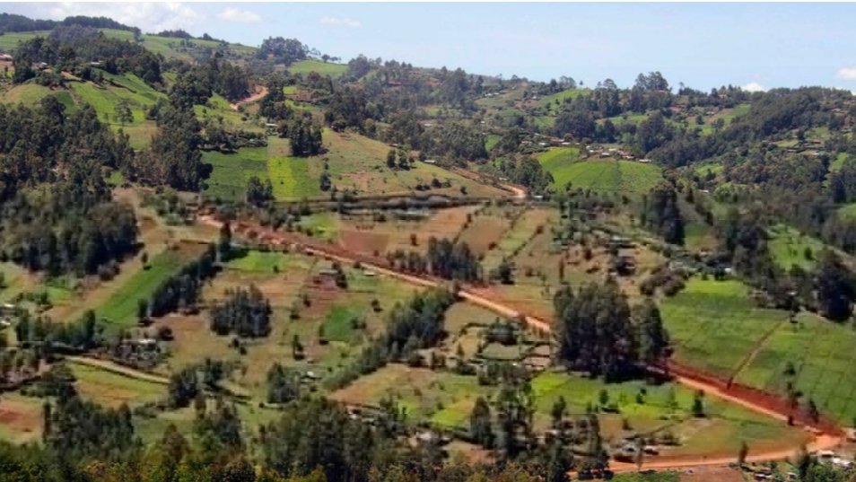 Court Clears Way for Sh4.4bn Mau Mau Road Through Aberdare Forest