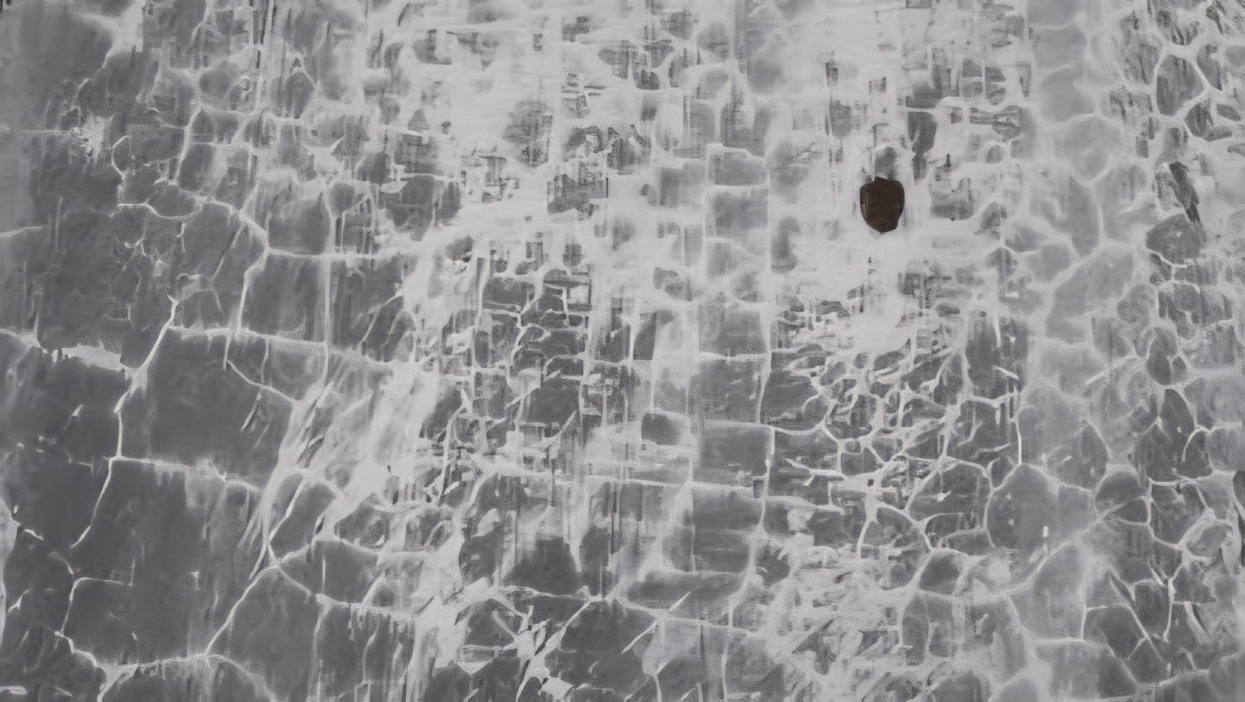 Close-up of a spiderweb-like crazing pattern on a gray concrete surface, showing fine network cracks.