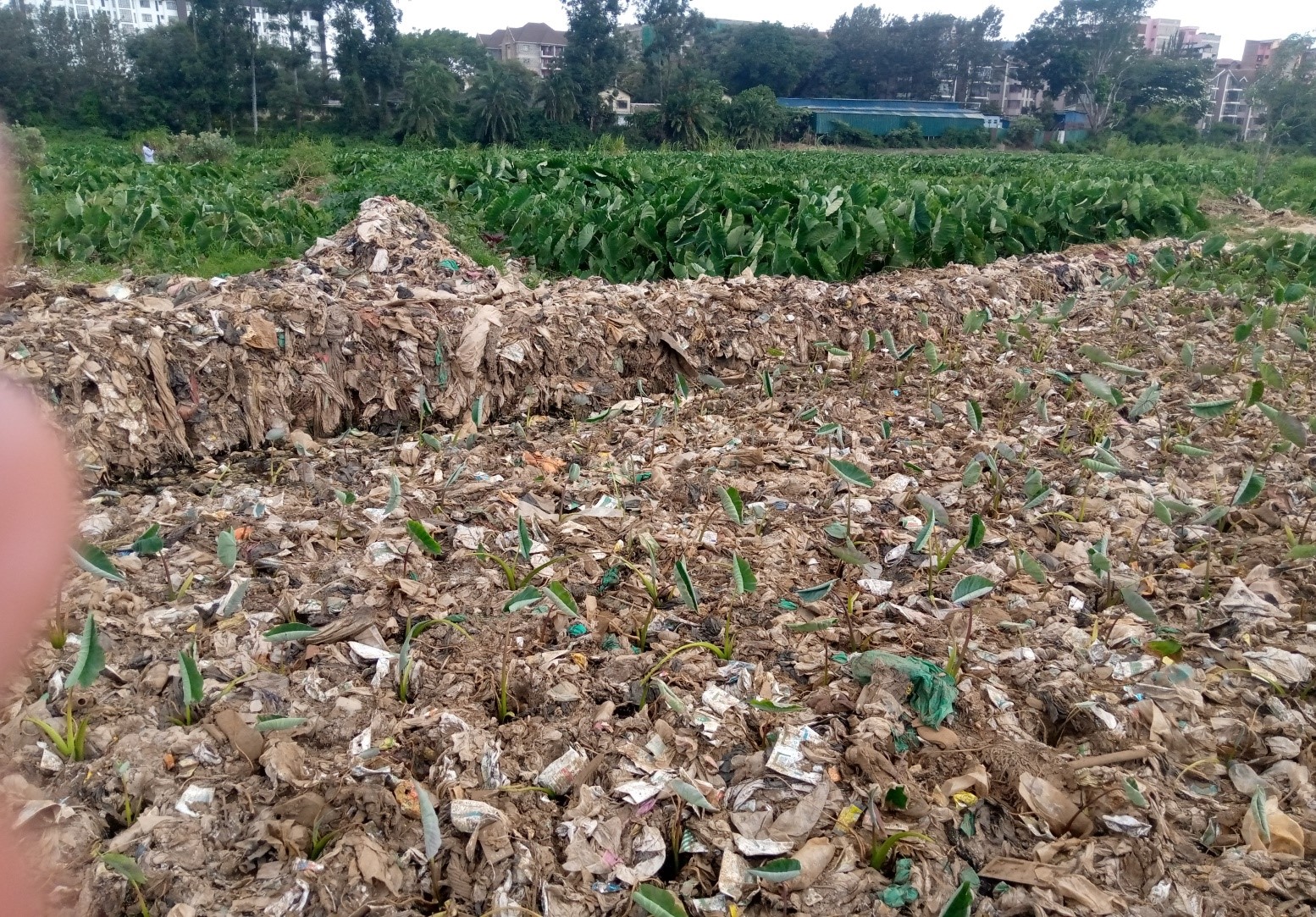 Nairobi Dam Rehabilitation